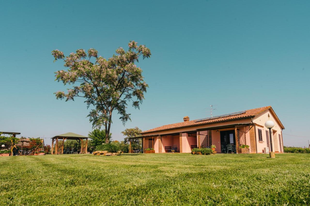 Agriturismo Il Laghetto Grosseto Eksteriør bilde